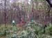 DSCN0021