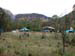 DSCN6701